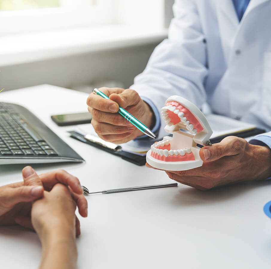 dentist explaining a procedure to a patient with a model of a set of teeth